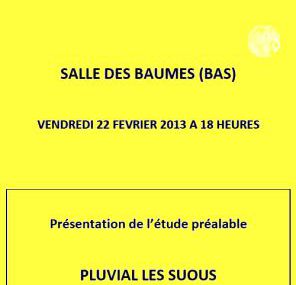 Réunion publique : Pluvial, Les Suous