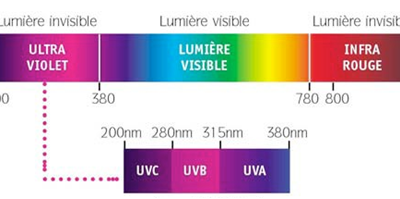 c.Les différents types d'UV nocifs pour l'homme