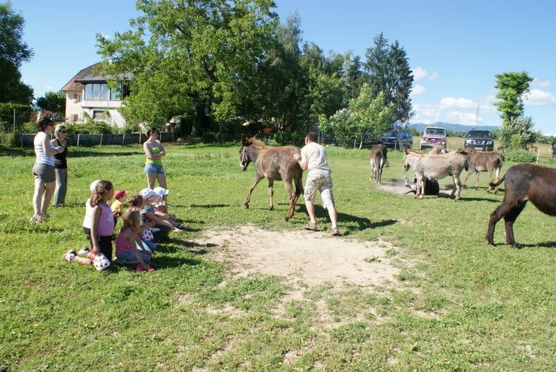 Album - anniversaire-de-Chloe-le-22juin