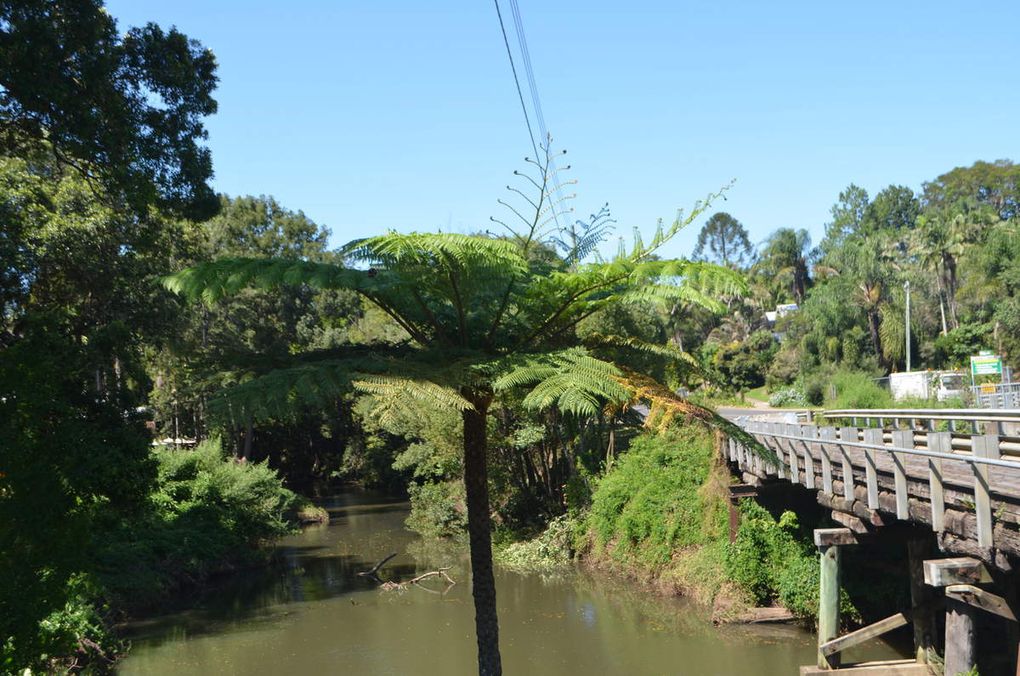 Stanphtorpe, Nimbin, Byron Bay