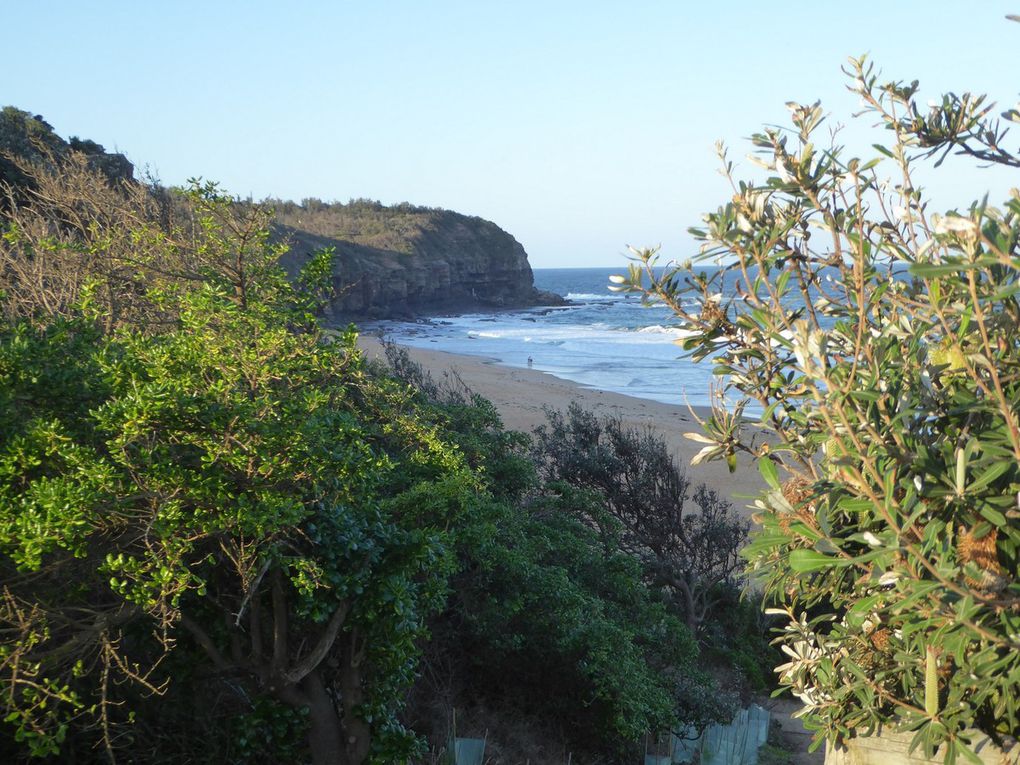 25 - D'Avalon beach à Narabeen Beach