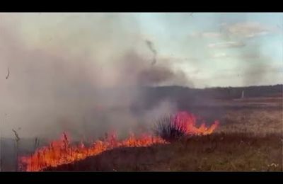 [Vidéos] Tchernobyl en feu : les fumées toxiques à proximité du site de la catastrophe nucléaire ukrainienne pourraient balayer toute l'Europe (Southfront)