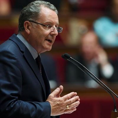 LREM : pas un jour sans voter une merde !