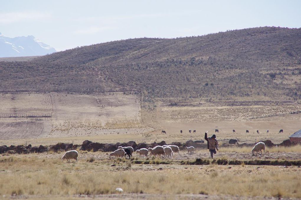 Album - Bolivia