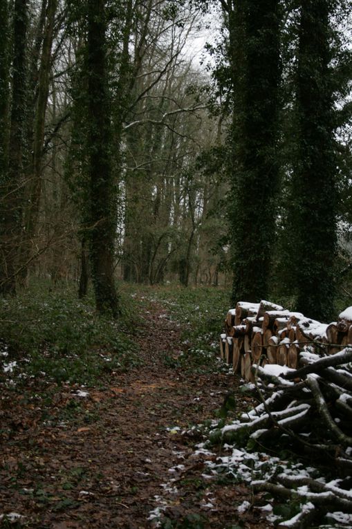 Bru la Trollesse sort à Kerguéhennec