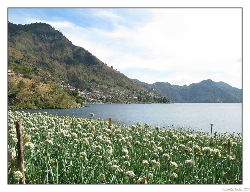 Guatemala : Antigua - Lac Atitlan - Chichicastenango - Santa Cruz del Quiché - Nebaj - Semuc Champey - Flores - Tikal - Rio Dulce - Livingston
