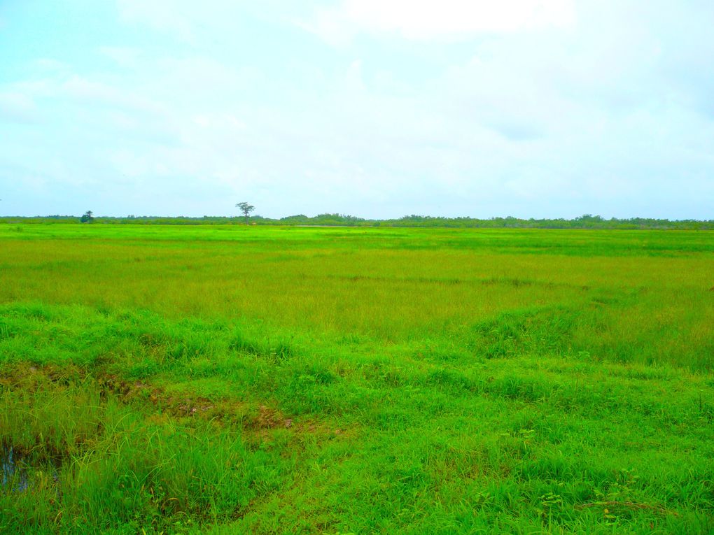 Album - La Casamance