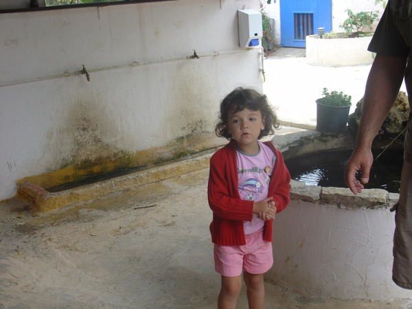 Album - Une partie de pêche à portiragnes-.