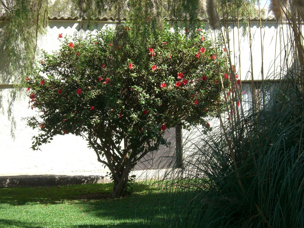 Voici quelques clichés du patrimoine naturel d'Arica.