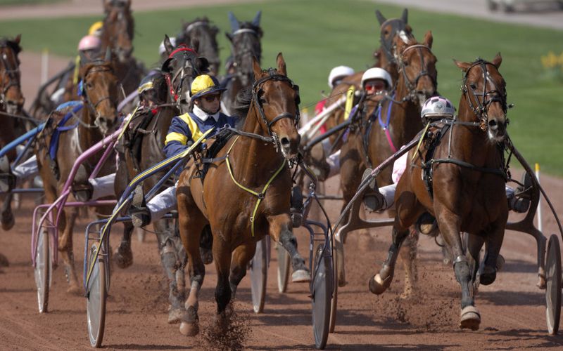 JEUDI 26 OCTOBRE 2023/CHANTILLY 