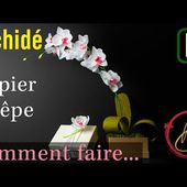 Orchidée de papier crêpe comment faire.