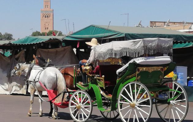 Excursion Marrakech