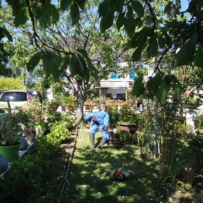 visite de mon jardin pour la journée des peintres le 25/06/2017