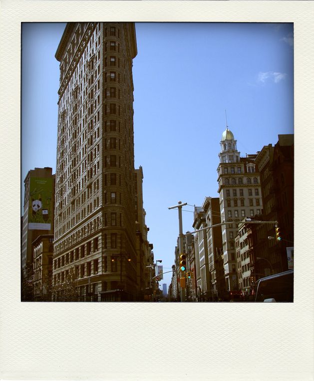 Album - NEW-YORK-POLA