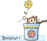Fleurs de saison????