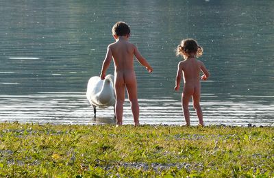 Un dîner au Lac