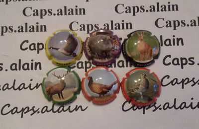 6 BELLES CAPSULES CHAMPAGNE BOLAND NOMINE CUVEE CHASSE NEWS 9€