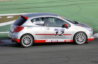 Peugeot 207 THP n°12 (2)