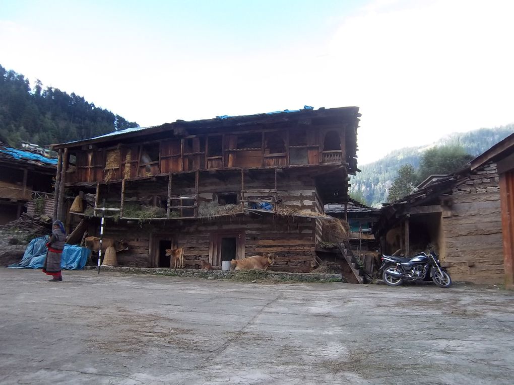 47 - Shimla
48 - Manali
49 - Route Manali-Leh
50 - Leh et environs
51 - Vallee de la Nubra
52 - Entre Leh et Srinagar
53 - Srinagar