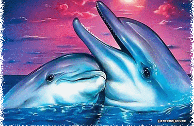 Amitiés - bisous - couple de dauphins - gif animé