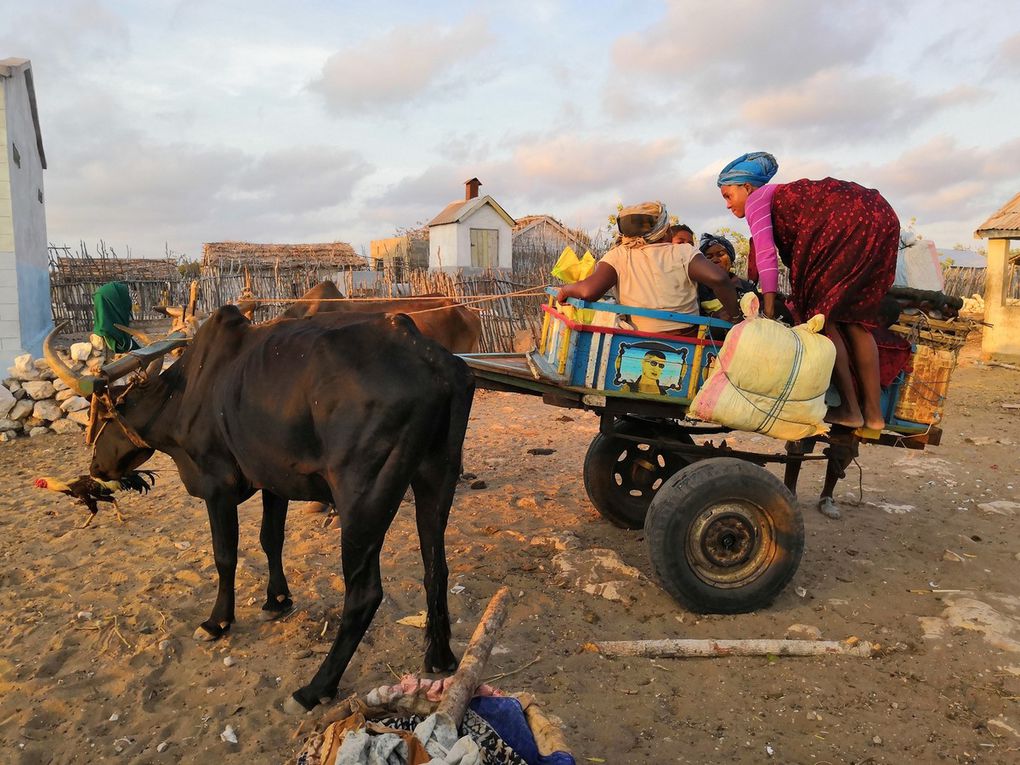 pêche automne 2018  périple dans le  sud de madagascar de st Augustin à Morombe 