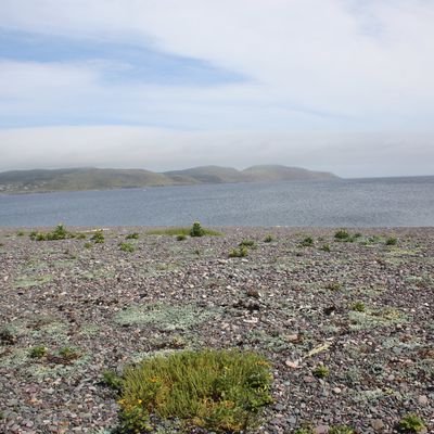 Découverte du Cap de Miquelon avec un guide de la Maison de La Nature