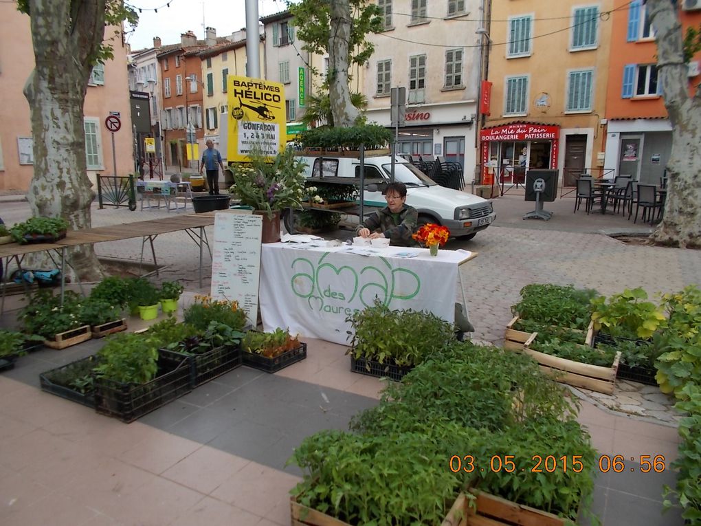 Foire aux plants de Gonfaron le 3 mai 2015