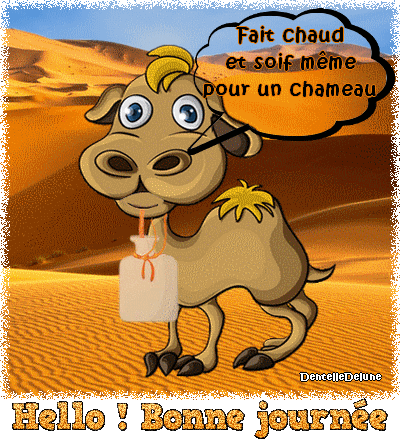 Chameau qui a soif - désert - chaleur - les gifs animés de dentelledelune