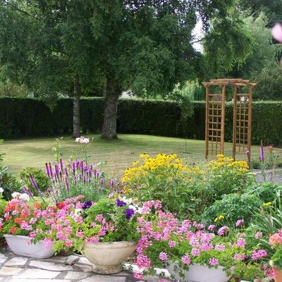 QUELQUES FLEURS (5).