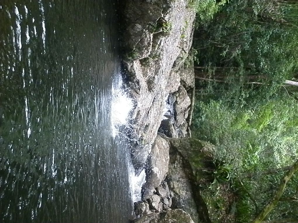 Album - Cairns---Rainforest.-Waterfalls--Beach