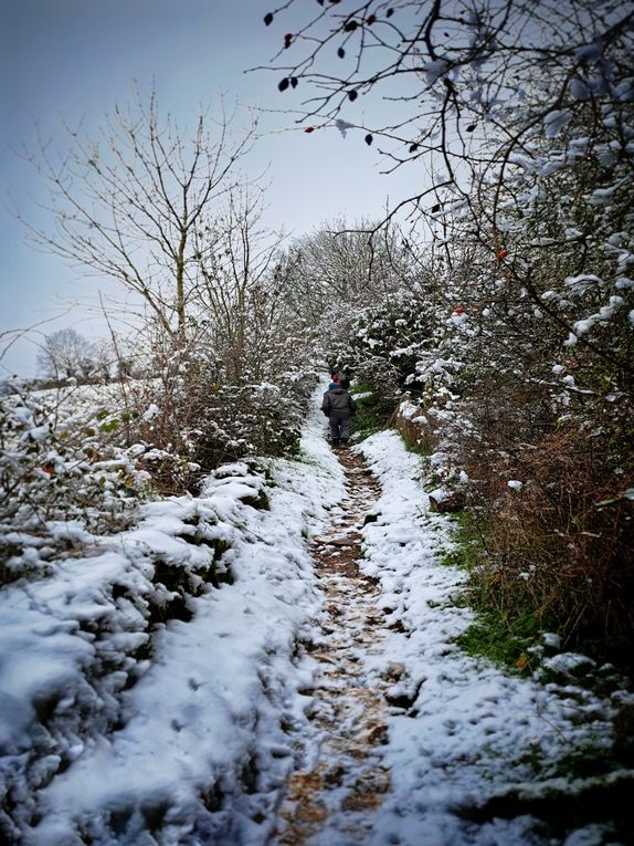 Let is snow !