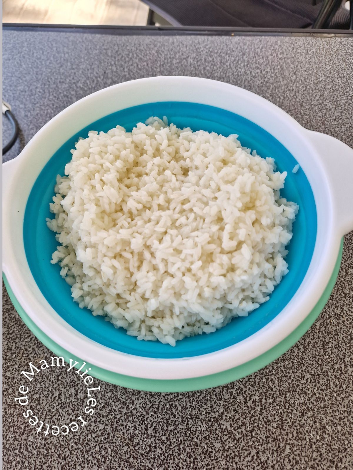 Compotée de courgettes au chèvre (servi avec du riz blanc) (multicuiseur 45 en 1 de Tefal) 