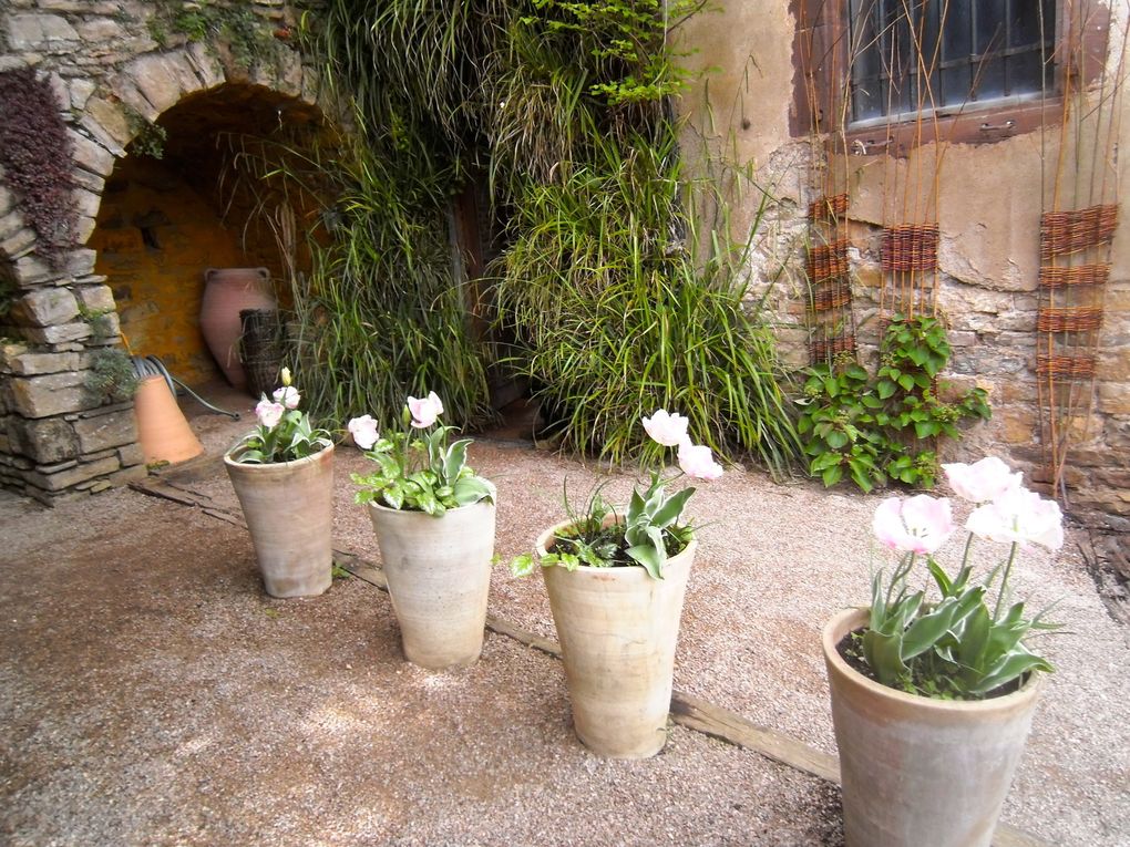 Jardin des Paradis - Cordes - Tarn