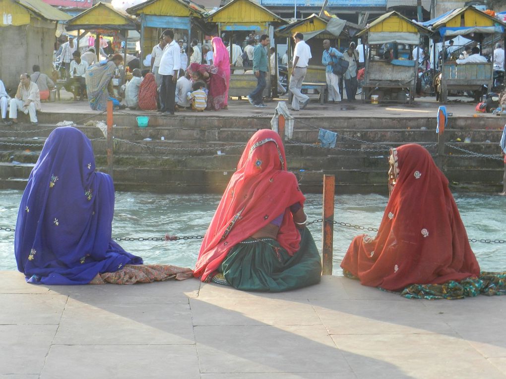 Album - Inde-Haridwar Rishikesh New Delhi