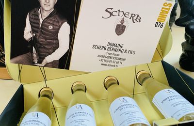 Millésimes Alsace DIGITASTING : Domaine Scherb Bernard & Fils à Gueberschwihr