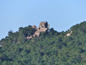 Montplaisir Février 2017
