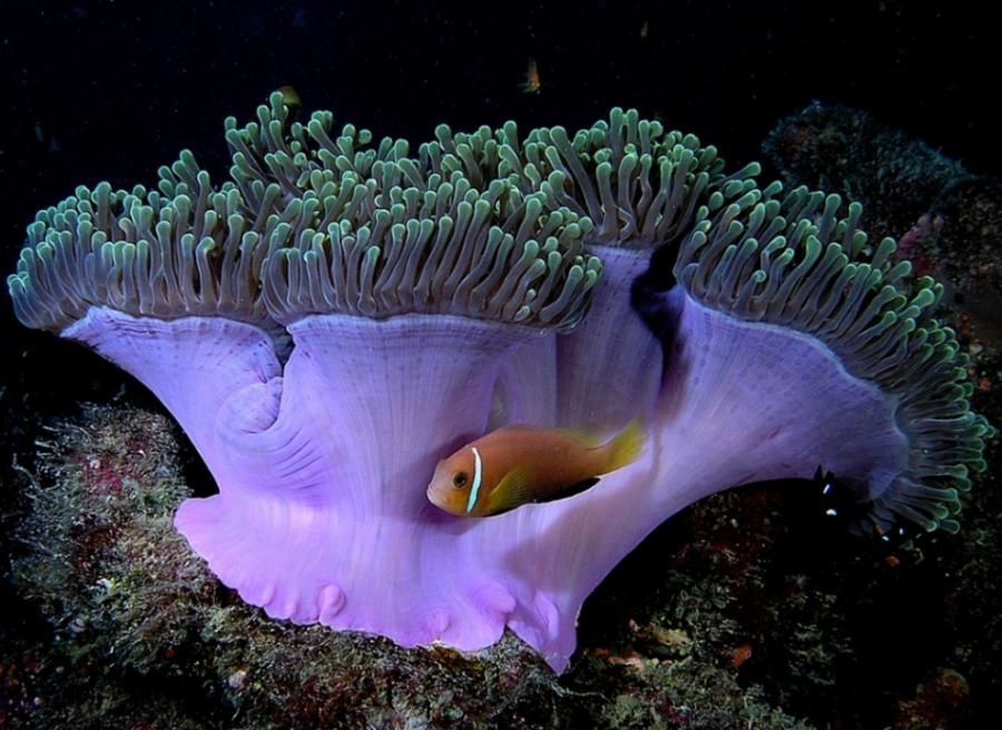 la beauté et la beauté entre terre  mer et ciel une beauté divine!!!!!!