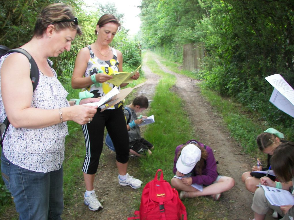 Album - Taize-mai-2011