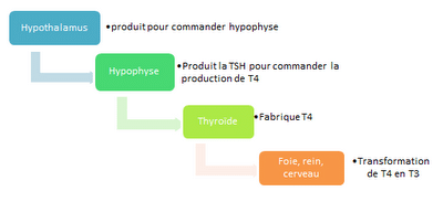 Doit-on coucher avant le 28e rendez-vous galant?