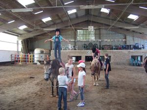 Stage Equitation Comines - 3 au 7 Aout