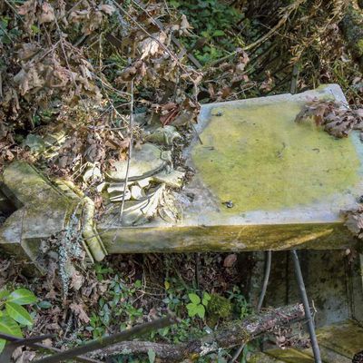 Le Vieux cimetière du Saillant en Corrèze, une profanation sous silence...