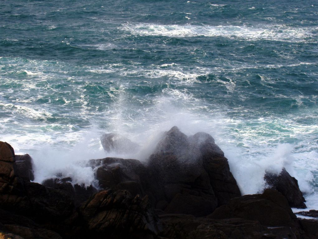 Album - Autour-de-Ouessant