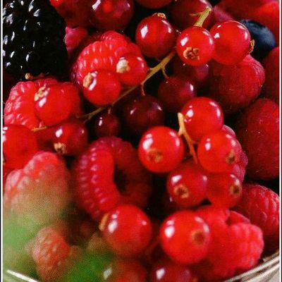 Fruits rouges