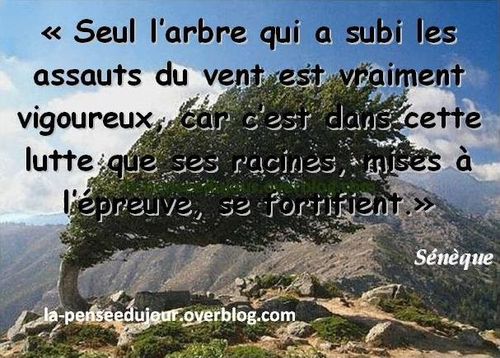 Proverbes La Pensee Du Jour