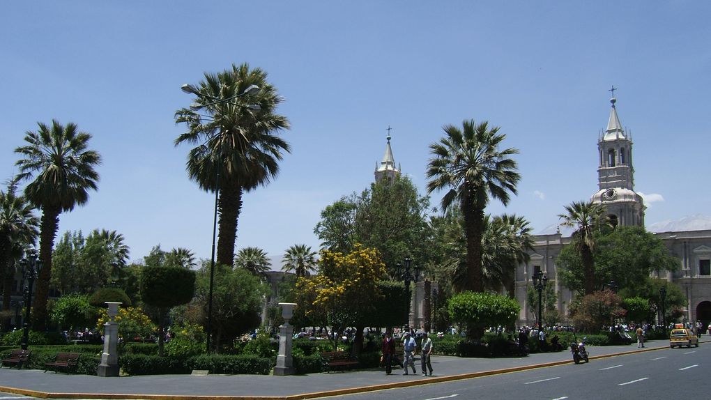 Album - Arequipa et Canyon de Colca