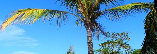 La Guyane, ça me gagne