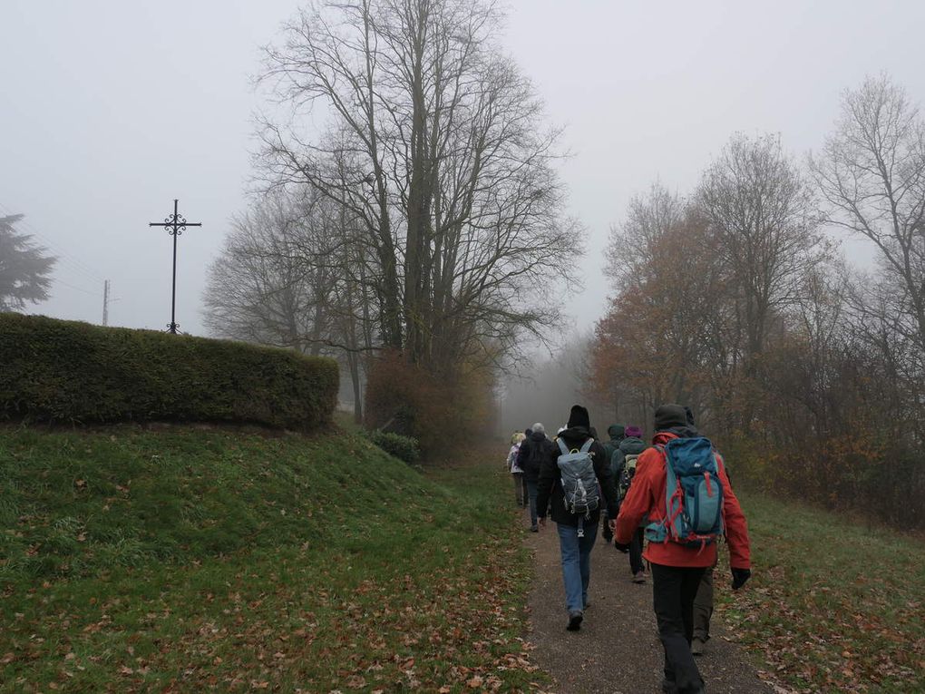 Randonnée de Gazeran à Rambouillet - 22,85 km.