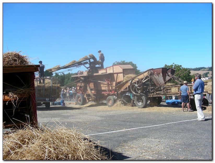 Marché de l'ail le Mercredi 16 juillet 2008