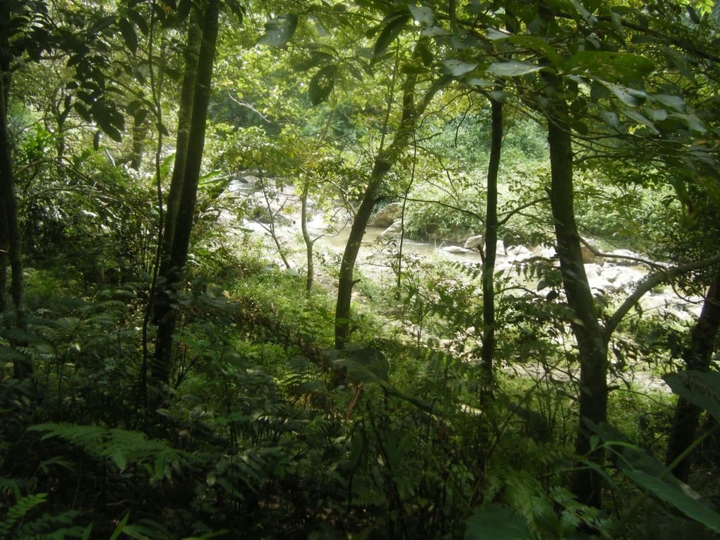 Album - Le parc national de Ba Vi