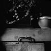 Photo. Compostion artistique et nature morte. 25 ans déjà...